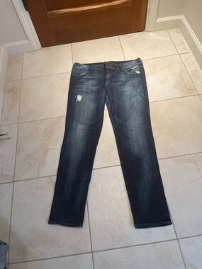 Hudson Jeans Women’s Skinny Distressed Dark Blue Denim